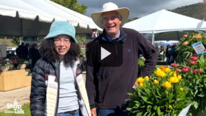 New Colors in Suntory’s Brachteantha Granvia Series (Video)