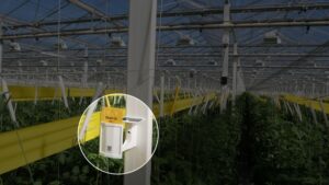 Two Technology Innovations Stand Tall at GreenTech Amsterdam