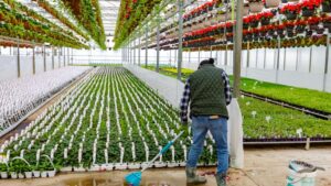 2025 Greenhouse Injury Trends: Top Risks and How to Prevent Them