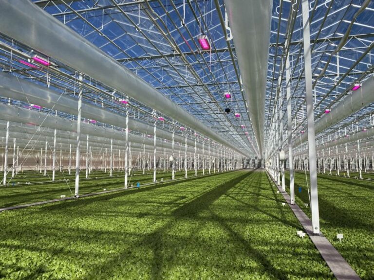 Meet LUNA AI, Greenhouse Grower’s 2023 Technology of the Year