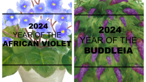 Check out the National Garden Bureau’s “Year of the” Crop Lineup for 2024