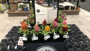 HC Companies Introduces 10% PCR Content in Horticulture Containers