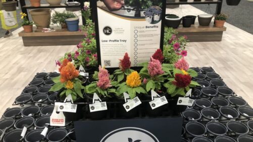 HC Companies Introduces 10% PCR Content in Horticulture Containers