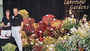 Allan Armitage on Coleus: A Look Back, and a Look Forward