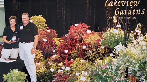 Allan Armitage on Coleus: A Look Back, and a Look Forward