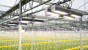 Stay on Top of Innovation With Greenhouse Grower’s Tech Briefs