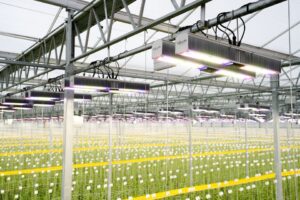 Smart LED Lighting Solution From Sollum Technologies