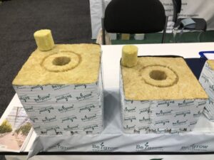 Stone Wool Substrate Cube (Begrow)