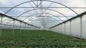 Presenting the Greenhouse Grower 2023 Technology of the Year Award Finalists