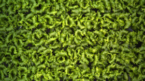 Intelligent Setpoint Control