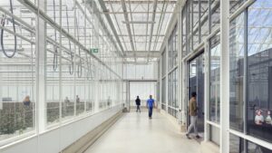 Go Inside Schoneveld Breeding’s PlantXperience