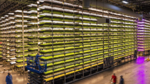 Need Some High-Tech Indoor Growing Equipment? Here’s Your Chance