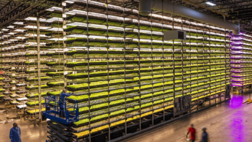 Need Some High-Tech Indoor Growing Equipment? Here’s Your Chance