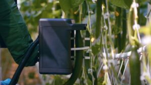 Robotic Cucumber Harvester Designed to Help Growers Save on Labor Costs