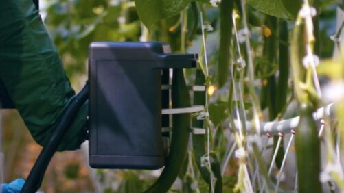 Robotic Cucumber Harvester Designed to Help Growers Save on Labor Costs