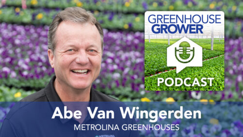 Greenhouse Grower to Grower Podcast: A Chat With Abe Van Wingerden
