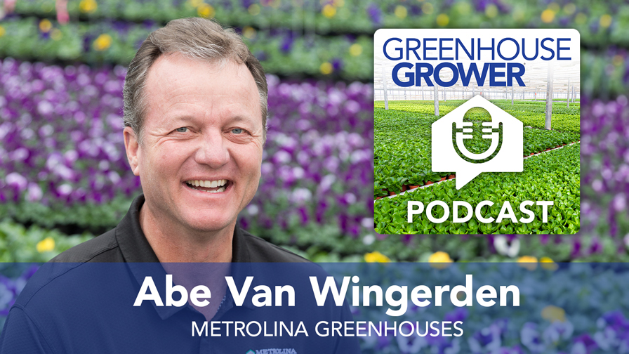 Greenhouse Grower to Grower Podcast: A Chat With Abe Van Wingerden ...