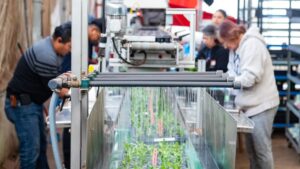 How to Protect Your Greenhouse’s New Technology