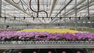 Highlights from the Greenhouse Production Tour at Cultivate’23