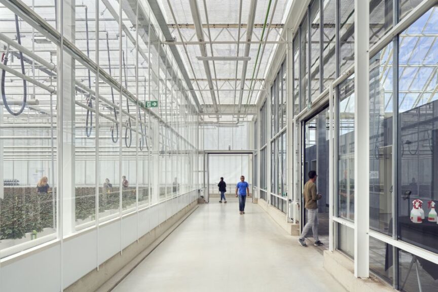 Go Inside Schoneveld Breeding’s PlantXperience