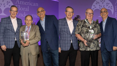 American Floral Endowment Update: Next Webinar, New Memorial Fund, and New Ambassadors Named