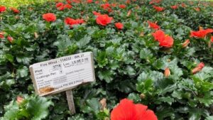 Two Top 100 Growers on How Data Aids in Production and Sales