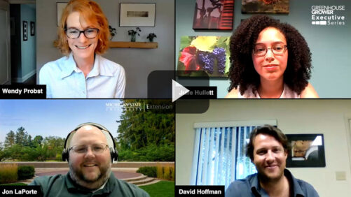 Get Insider Tips on Effective Greenhouse Business Forecasting