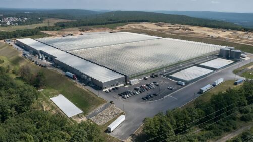 Little Leaf Farms Becomes Top-Selling Packaged Lettuce in New England