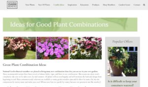 NGB Combos Screenshot