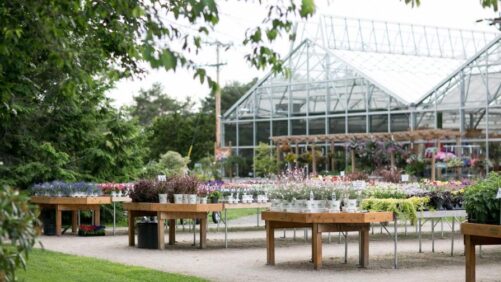 What You Can Expect to See at the 2023 Northeast Greenhouse Conference