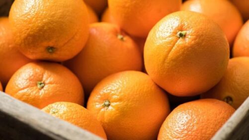 How Orange Oil Is Playing a Bigger Role in Crop Protection
