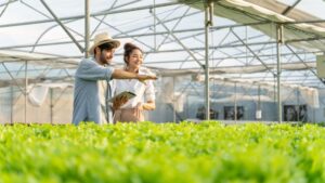 Keep Pests Off Your Plants: Four Steps to Stay in Control of Indoor Crops