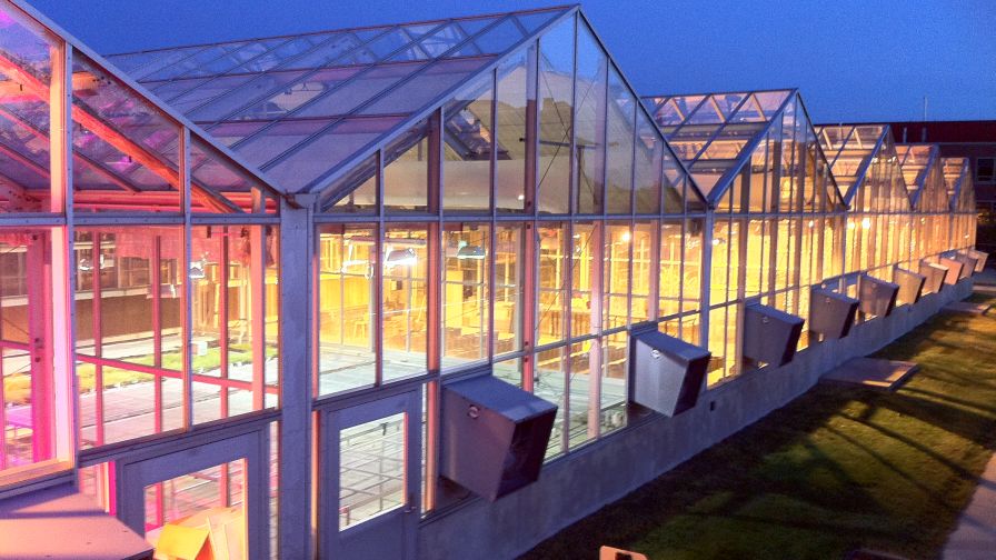 5 Tips for Efficient Greenhouse Heating - Greenhouse Grower