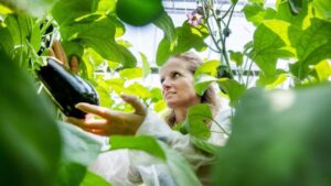 How a New Coating Could Lead to Greenhouse Energy Savings