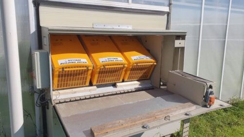 Greenhouse Dehumidification With Latent Heat Recovery Looks Promising