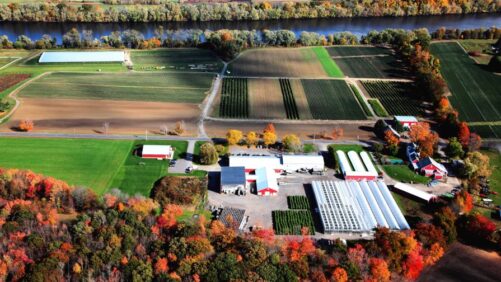 Berry Grower Nourse Farms Expands With New Greenhouse Facilities