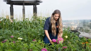 Why Rooftop Gardening Is Thriving at Auburn University