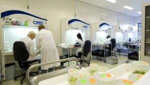 The Benefits of a Quality Tissue Culture Lab