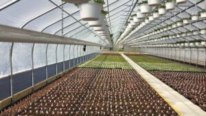 How Speeding Up Hand Watering Can Help Save on Labor