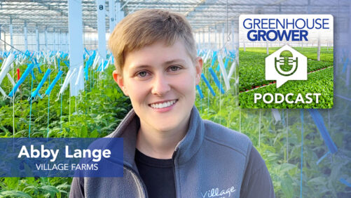 Greenhouse Grower to Grower Podcast: Abby Lange of Village Farms Fresh