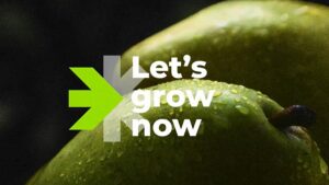 Say Hello To Rovensa Next — A New Company for a New World