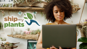 Why Ship My Plants Aims to Be the Future of Consumer Horticulture