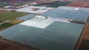 Windset Farms’ Expansion Continues With a Focus on the Pacific Northwest