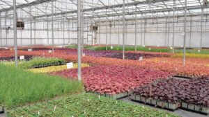 Meet Greenhouse Grower’s New Editorial Advisory Board