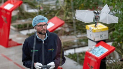 Will 5G Technology Work in a Greenhouse? One Dutch Company Hopes to Find Out