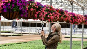 The Basics of Effective Greenhouse Light Management