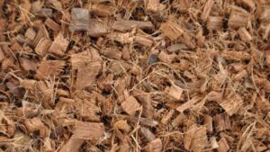 The Search Continues for New Options in Soilless Substrates