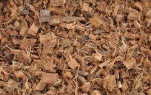 The Search Continues for New Options in Soilless Substrates 