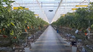 Video of the Week: Using Drones to Inspect Irrigation Systems