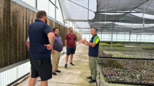 Danziger Partners with Moss Hill Foliage for Floresta Foliage Program